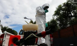 dengue 