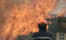 Incendie du Maïdo 8 novembre 2020