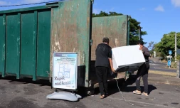 Le Port : ne sortez pas vos poubelles la veille