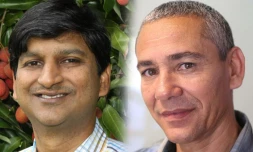 Virapoullé / Bédier