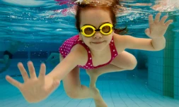 Animations piscine plateau caillou