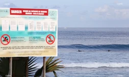 panneaux requins plage Roches noires