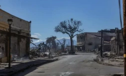 Des bùtiments calcinés à Lahaina, sur l'ßle de Maui, le 11 août 2023 à Hawaï ( AFP / Moses SLOVATIZKI )