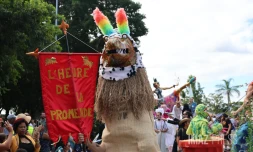 Grand Boucan 2023