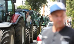 Manifestation des planteurs