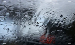 pluie 