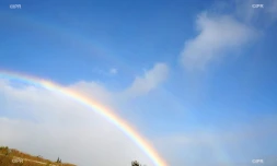 météo réunion 