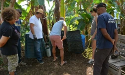 TCO : les inscriptions aux ateliers compostage gratuits sont ouvertes