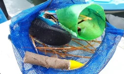 Lanternes, pétards... des restes de la soirée du Nouvel an dans le lagon