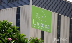 urcoopa