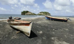 Aux Antilles, la pollution au chlordécone, pesticide utilisé pendant plus de vingt ans, a limité voire interdit la pêche dans de vastes zones ( AFP / KENZO TRIBOUILLARD )