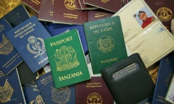immigration 