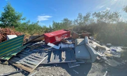 Band Cochon : 81 photos de makoteries recensées