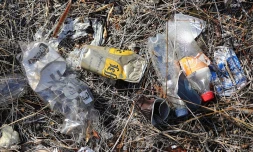 pollution plastique 