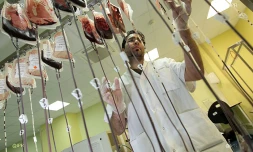 Etablissement Français du Sang