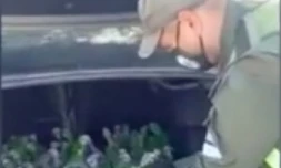 Argentine : une centaine de perroquets retrouvé dans un coffre de