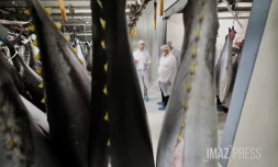 Thierry Marx et comités des pêches 