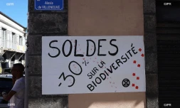 mouvement social écologiste Extinction Rebellion