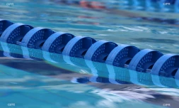 Meeting natation 2015