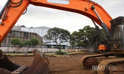 forĂŞt urbaine Barachois