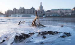 Les rives gelées de l'Elbe, le 26 février 2018 à Dresde, en Allemagne