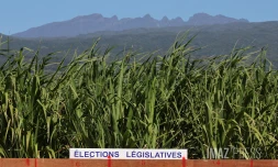 législatives 2024 