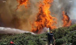 Incendie du Maïdo 8 novembre 2020