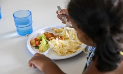 Ce jeudi 12 décembre 2024, les petits saint paulois ont dégusté le repas de Noël. C’est à l’école de Carosse que le maire de Saint-Paul a partagé ce moment de convivialité avec eux.