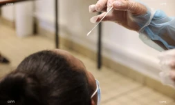 test coronavirus antigénique lycée jean hinglo le port