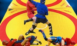 Sambo combat