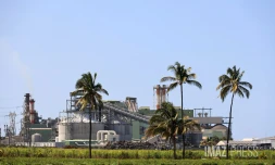 Usine du Gol