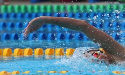 Meeting natation 2015
