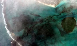 marée noire ile Maurice 