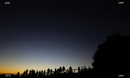 illustrations photos 