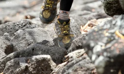 Grand Raid