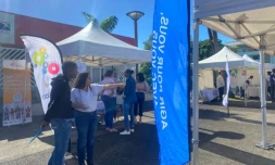 Saint-Denis : un premier forum du BTP réussi 