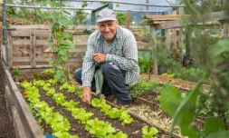 La ville de Saint-Denis récompensée au niveau national