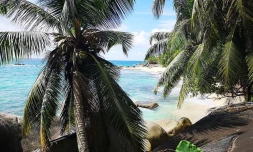 Culture créole aux Seychelles