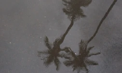 Fortes pluies