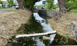 Pollution ravine Hermitage