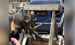 Une catapulte sortie face aux forces de l’ordre lors d’une manifestation à Quimper
