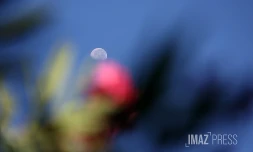 lune 