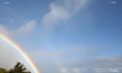 météo réunion 