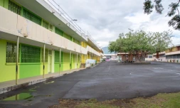 Travaux de rénovation au Port