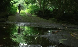 Culture, Films, Kwa Films