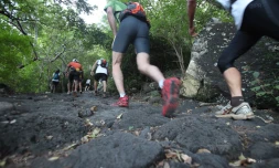 Course à pied