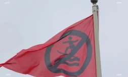 drapeaux requins ,drapeaux plages