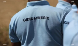 Gendarme 
