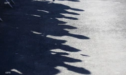 illustrations photos