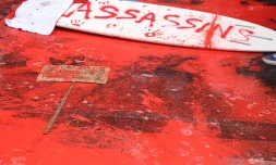 Manifestation requin préfecture